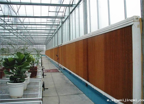 车间水帘降温的优势