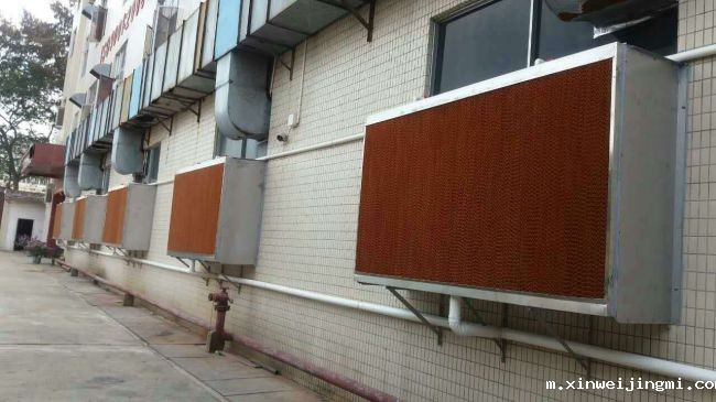 水帘降温：温室的清凉守护者